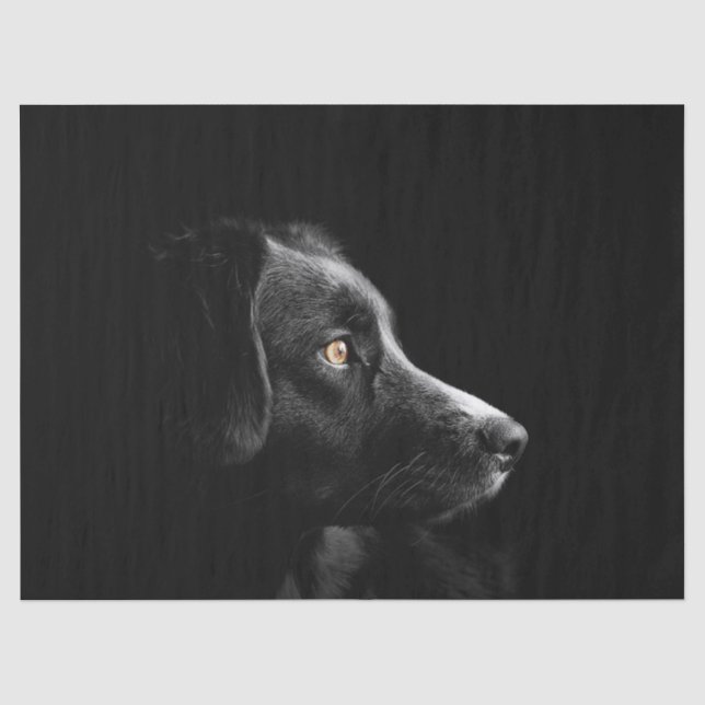 Schwarzes Labrador Retrievenpapier Seidenpapier (Vorderseite)
