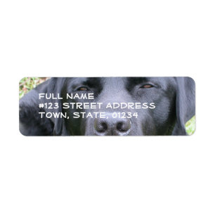 Schwarzes Labrador retriever, das Aufkleber