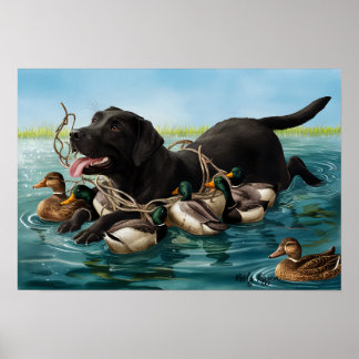 Schwarzes Labrador Retriever, Entenjäger-Poster Poster