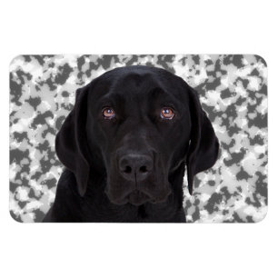 Schwarzes Labrador retriever Magnet