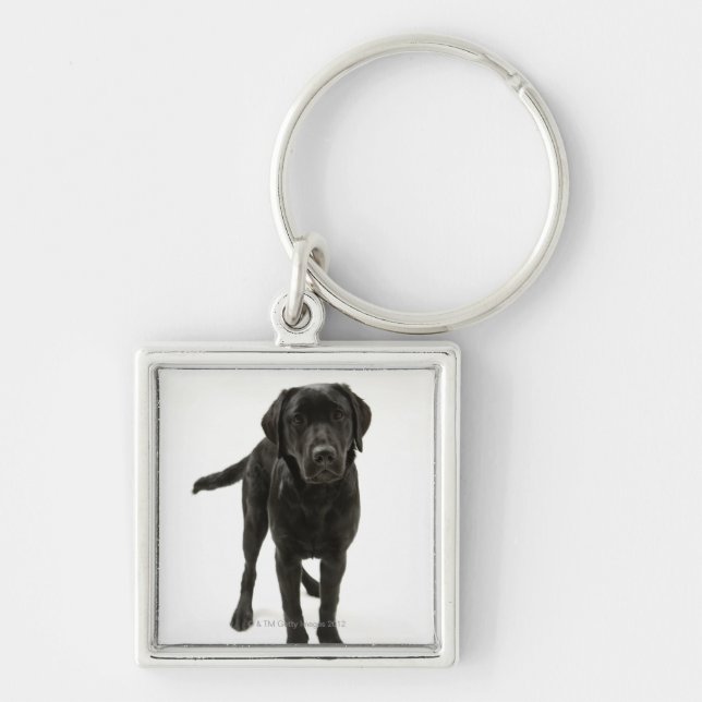 Schwarzes labrador retriever schlüsselanhänger (Vorne)