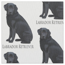 Schwarzes Labrador retriever