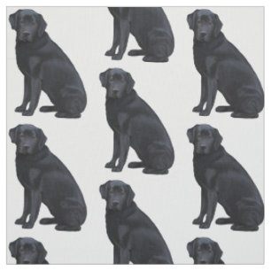 Schwarzes Labrador retriever Stoff