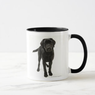 Schwarzes labrador retriever tasse