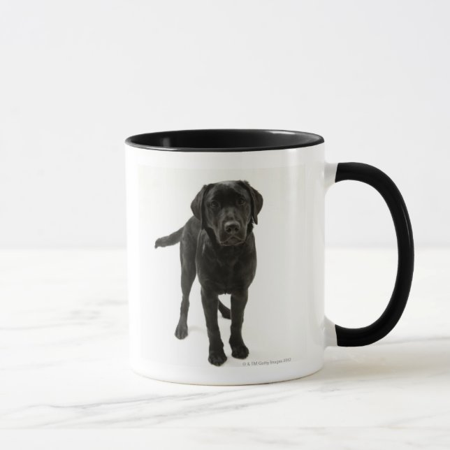 Schwarzes labrador retriever tasse (Rechts)