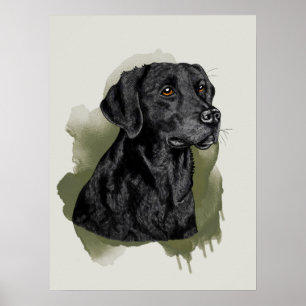 Schwarzes Labrador Retriever Wasserfarben-Kunstpor Poster