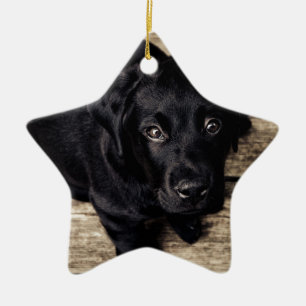 Schwarzes Labrador Retriever Welpe auf Holz Keramikornament
