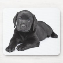 Schwarzes Labrador-Retriever-Welpenmousepad