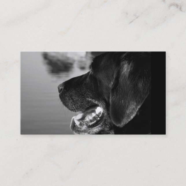 SCHWARZES LABRADOR - Visitenkarte-Schablone Visitenkarte (Vorderseite)