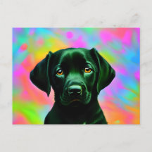 Schwarzes Labrador vor einem farbenfrohen