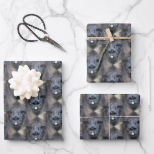 Schwarzes Lama-Gesicht Naturmuster Geschenkpapier Set
