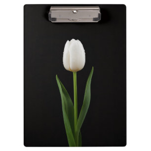Schwarzes Luxus-Clipboard 4 mit Perlenweißer Tulpe Klemmbrett