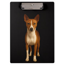 Schwarzes Luxus-Clipboard, elegante Basenji-Hündin