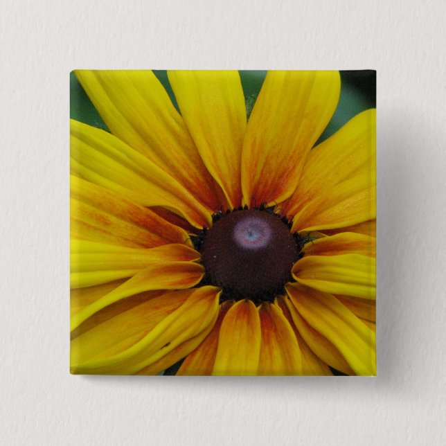 Schwarzes mit Augen Susan-Blumen-Quadrat-Button Button (Vorderseite)