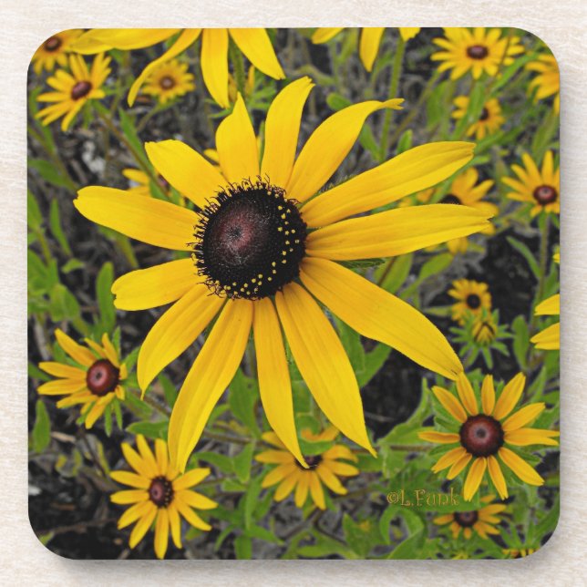 Schwarzes mit Augen Susans Untersetzer (Vorderseite)