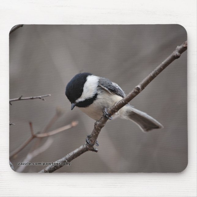 Schwarzes mit einer Kappe bedeckter Chickadee Mousepad (Vorne)