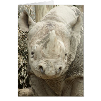 Schwarzes Nashorn-Karte