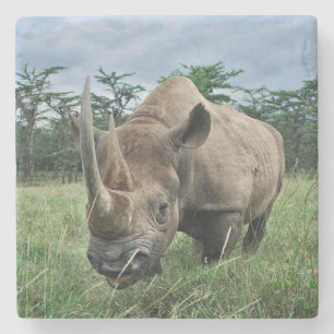 Schwarzes Nashorn   Kenia Steinuntersetzer