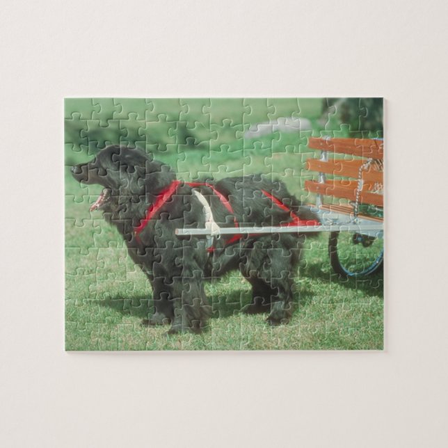Schwarzes Neufundland-Wagen-Hundepuzzlespiel (Horizontal)