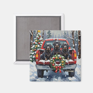 Schwarzes Neufundländer-Weihnachten-Rotes-Lieferwa Magnet