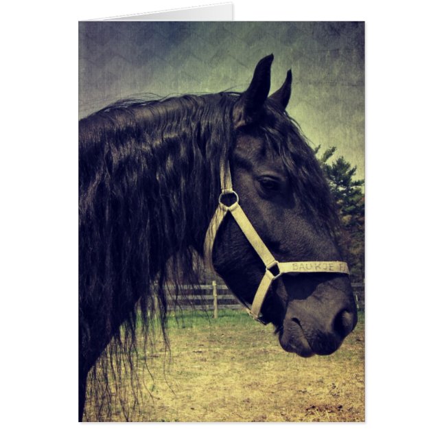 Schwarzes Pferd (Vorne)