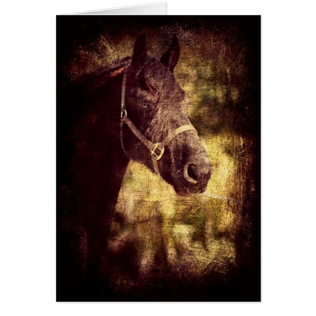 Schwarzes Pferd (Vorne)