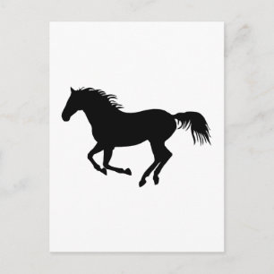 Schwarzes Pferd 1 Postkarte
