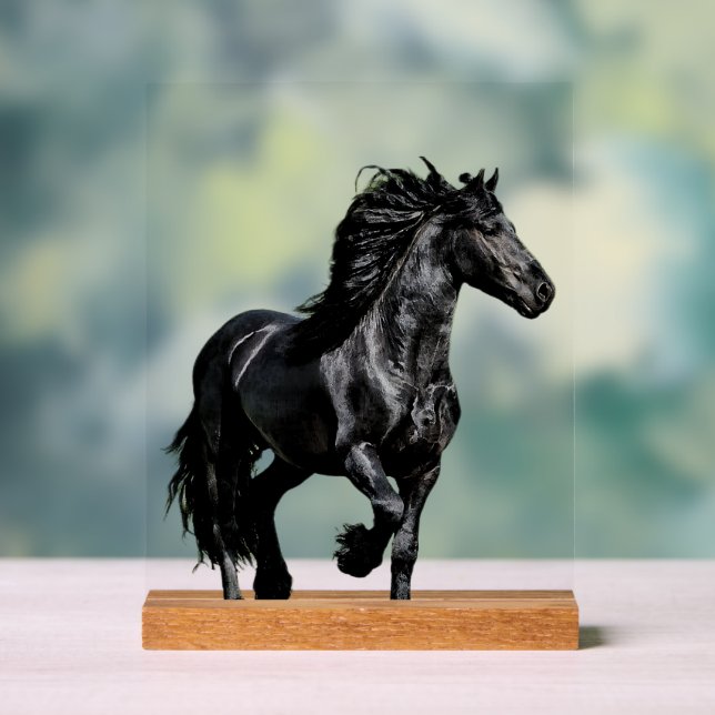Schwarzes Pferd Acrylschild (Neutral)