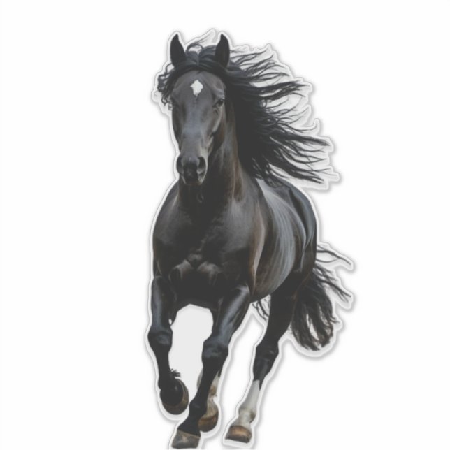 Schwarzes Pferd Aufkleber (Vorderseite)