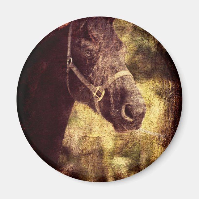 Schwarzes Pferd Magnet (Vorne)