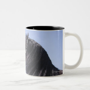 schwarzes Pferd mit der langen Mähne Zweifarbige Tasse