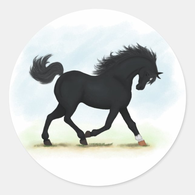Schwarzes Pferd mit Star & Sock (Schwarze Schönhei Runder Aufkleber (Vorderseite)