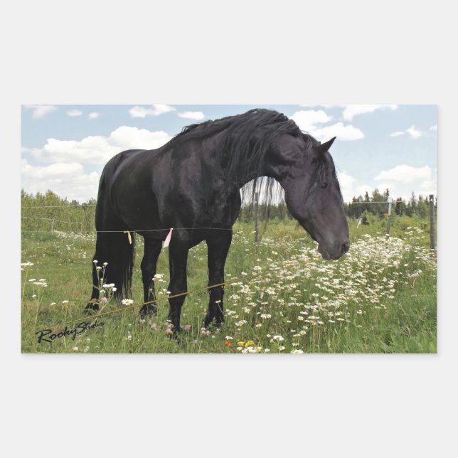 Schwarzes Pferd Rechteckiger Aufkleber (Vorderseite)