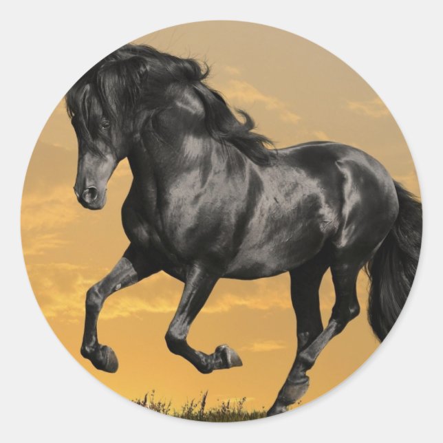 Schwarzes Pferd Runder Aufkleber (Vorderseite)
