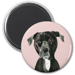 Schwarzes Pit Bull Dog Portrait Magnet