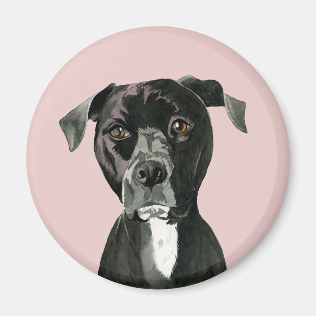 Schwarzes Pit Bull Dog Portrait Magnet (Vorne)