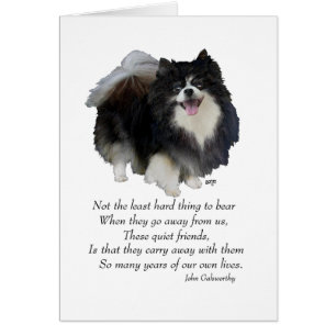 Schwarzes Pomeranian Andenken