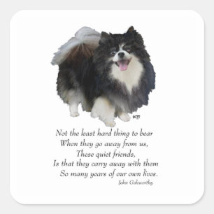 Schwarzes Pomeranian Andenken Quadratischer Aufkleber