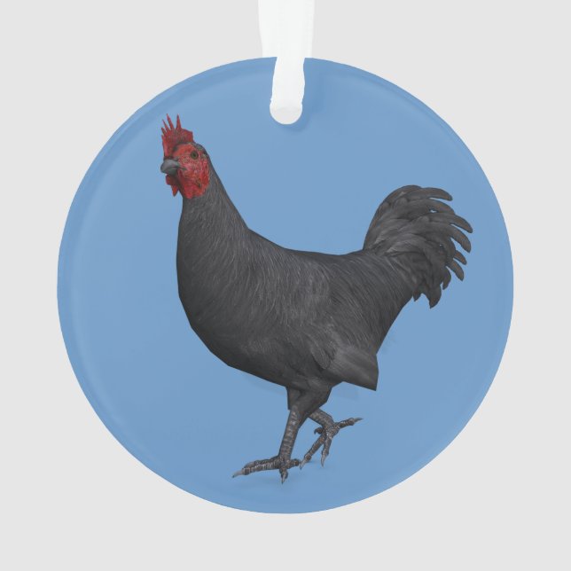 Schwarzes Quadrat Ornament (Rückseite)