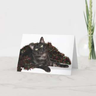 Schwarzes Rauchkatze Weihnachten