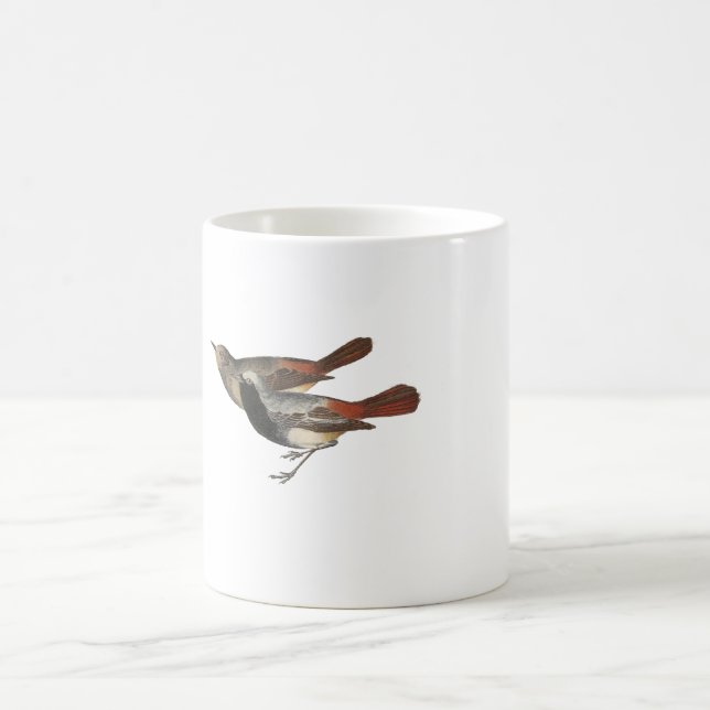 Schwarzes Redstart Kaffeetasse (Mittel)