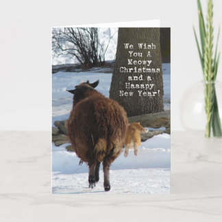 Schwarzes Schaf und Katze, Weihnachtsspass Feiertagskarte