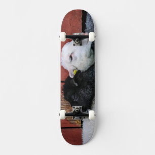 Schwarzes Schafskateboard Skateboard
