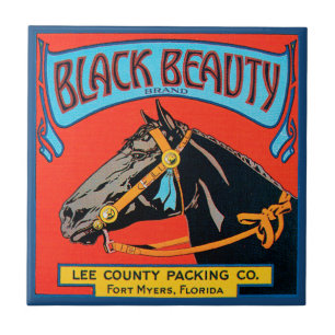 Schwarzes Schönheitsross auf rotem Hintergrund Fliese