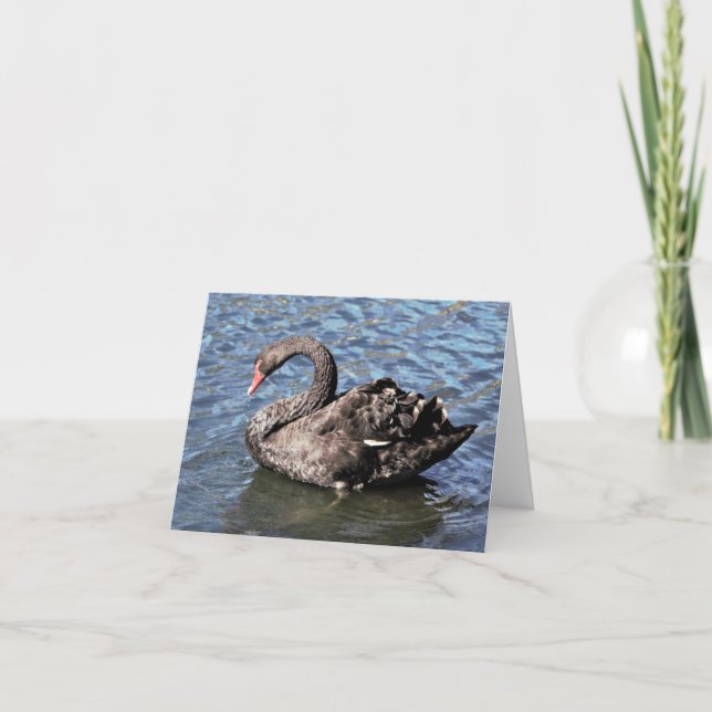 Schwarzes Schwan Foto Faltkarte (Vorderseite)