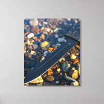 Schwarzes Schwert im flachen Wasser