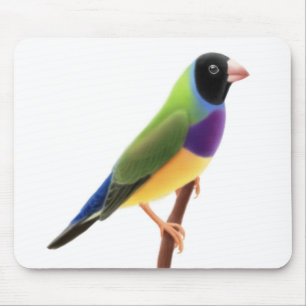 Schwarzes stellte Gouldian Fink Mousepad gegenübe