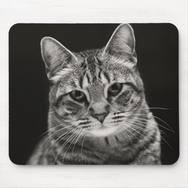 Schwarzes Tabby-Kätzchen Mousepad (Vorne)