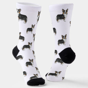 Schwarzes Tricolor Pembroke Welsh Corgi Hund Muste Socken