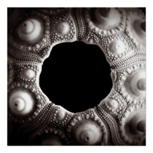 Schwarzes u. weißes der Fotografie 20x20 Plakat Poster